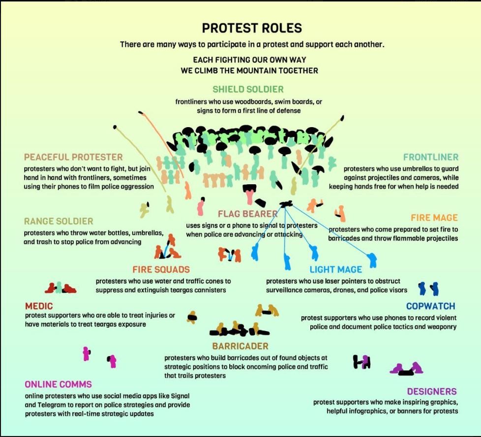 Protest Roles Protest Roles
